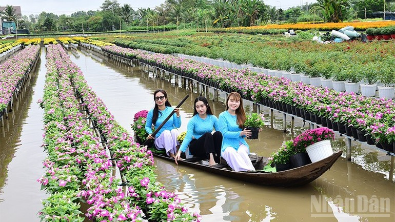 Visitors take a boat tour by sampan at the Tan An Cooperative for the Production and Supply of Flowers and Ornamental Plants (Sa Dec Ward).