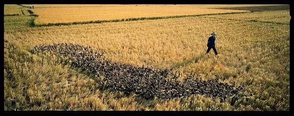 Photographer Lam Duc Hien: Mekong river a fountain of energy for me ảnh 2