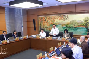 Deputies in a group discussion (Photo: VNA)