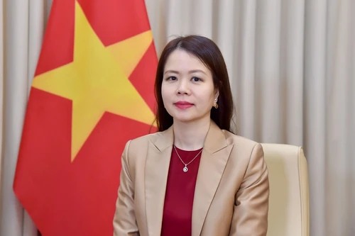 Deputy Minister of Foreign Affairs Nguyen Minh Hang (Photo: Vietnamese Ministry of Foreign Affairs)
