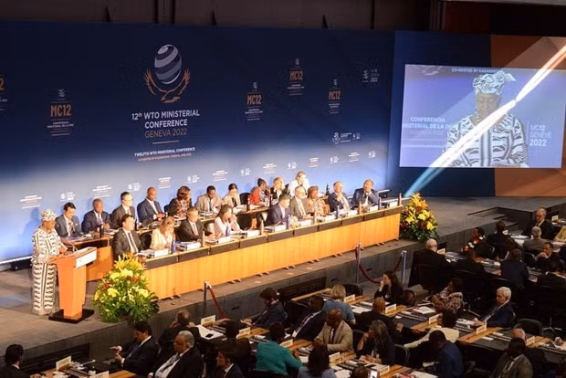 Vietnam attends 12th WTO Ministerial Conference in Geneva ảnh 1
