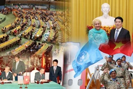 Enhancing Viet Nam’s position on the international stage