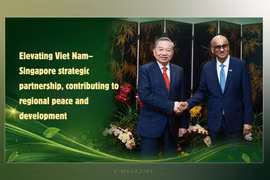 Elevating Viet Nam–Singapore strategic partnership, contributing to regional peace and development