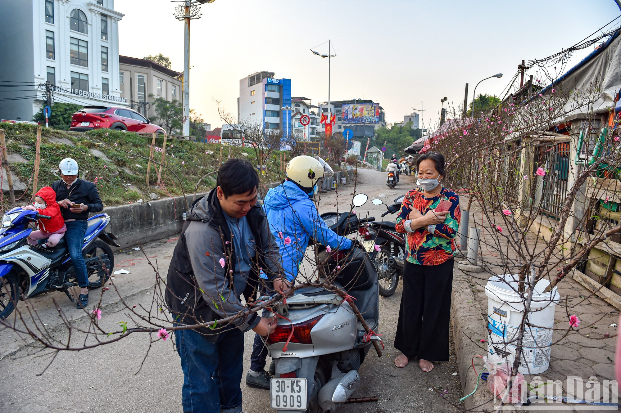 The price of early-blooming peach branches at Quang An market ranges from 200,000 VND per branch to millions of VND per branch. The price of early-blooming peach branches at Quang An market ranges from 200,000 VND per branch to millions of VND per branch.
