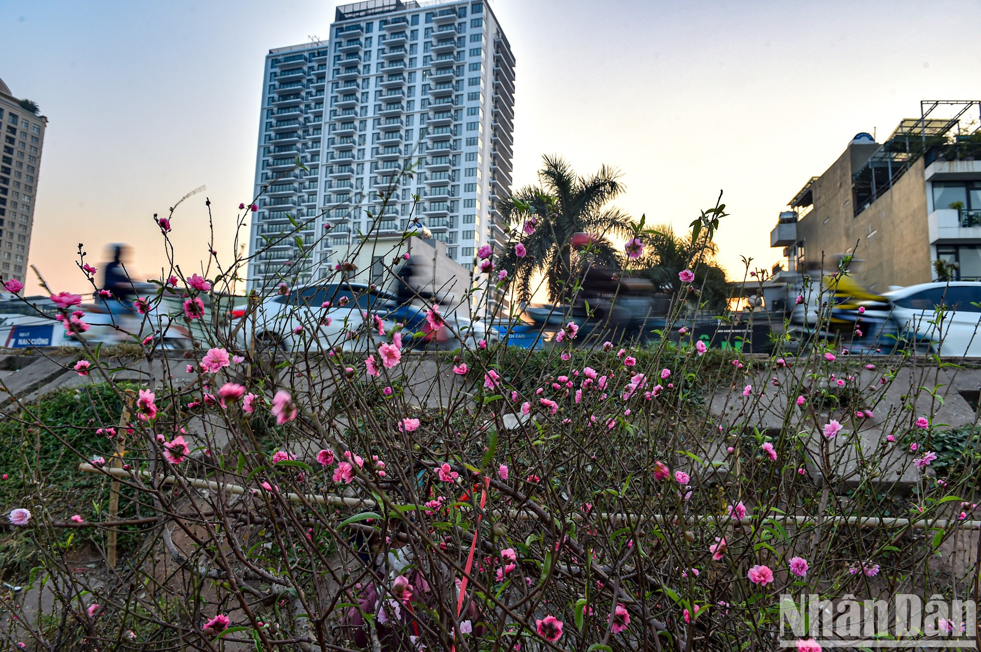 The peachy pink colour and people rushing past heralds the coming of a new year. The peachy pink colour and people rushing past heralds the coming of a new year.