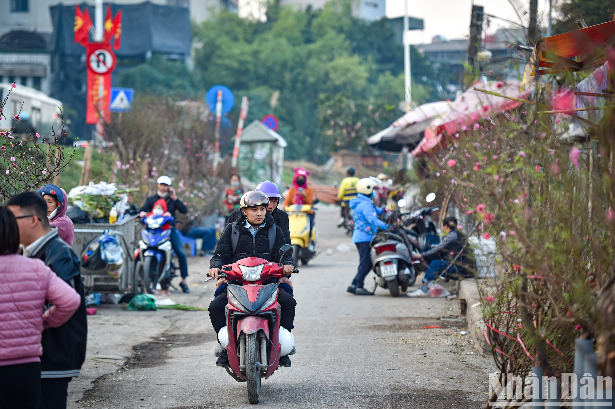 People in the capital began to buy early at the Quang An flower market. People in the capital began to buy early at the Quang An flower market.