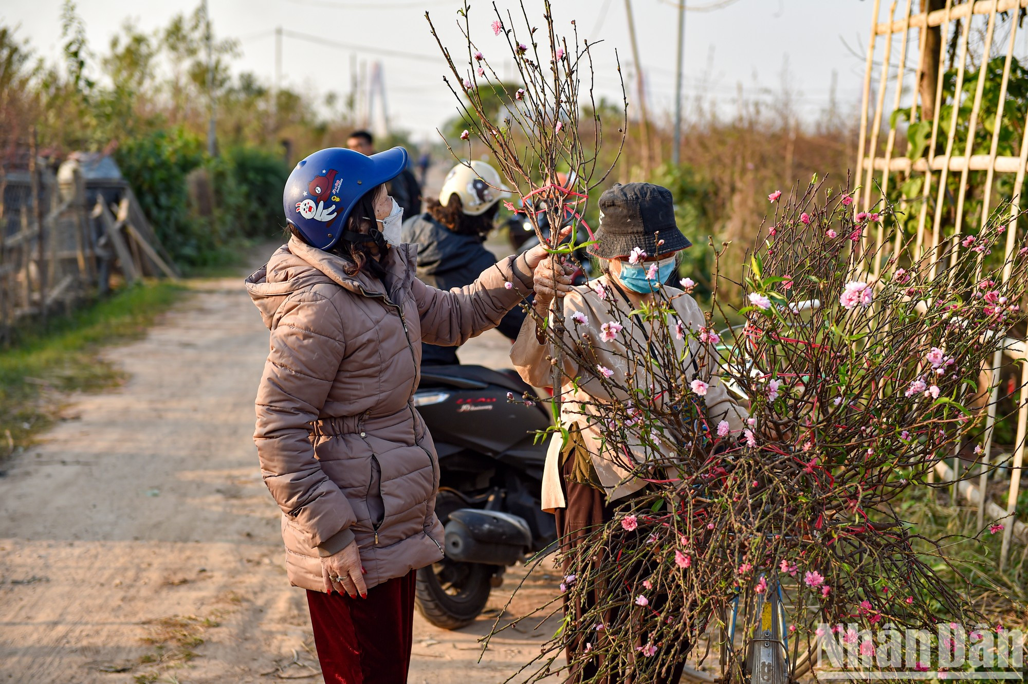 Some people go to the peach garden to choose the peach branches they like. Some people go to the peach garden to choose the peach branches they like.