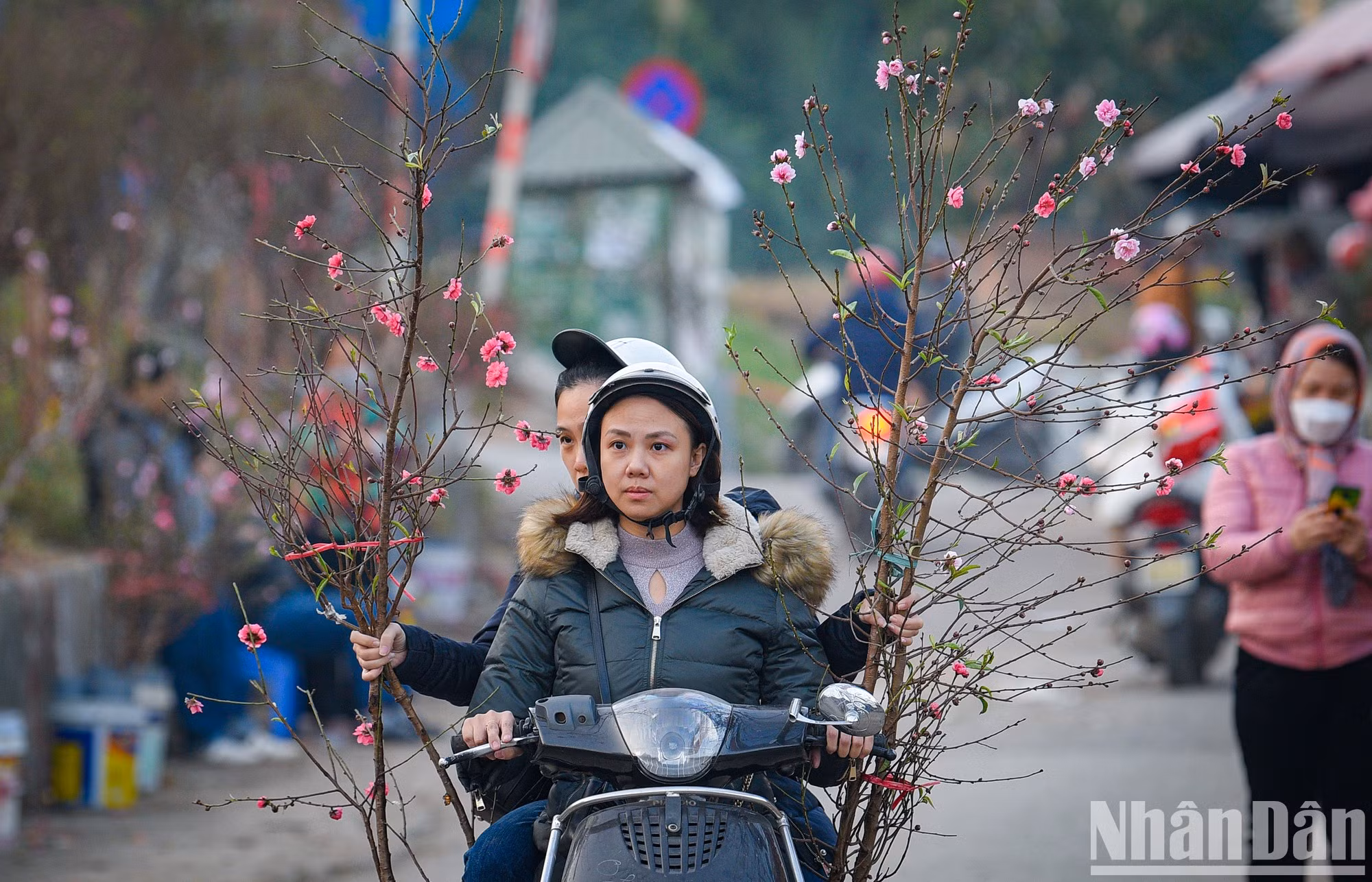 Many people choose peach blossoms for the upcoming New Year's Eve.