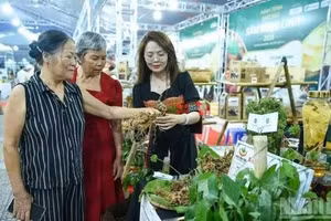 Bringing Ngoc Linh Ginseng closer to consumers.
