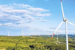 Ea Nam wind farm, Dak Lak. (Photo: TRUNG NAM)