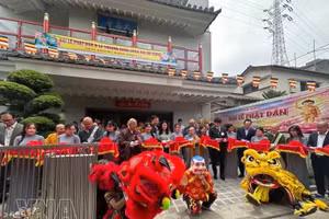 The ribbon-cutting ceremony marks the inauguration of Dai An Tokyo Pagoda on May 31. (Photo: VNA)