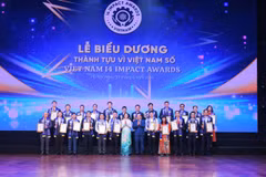 Best solutions with impactful achievements for digital Viet Nam awarded at the ceremony (Photo: VIDTI)