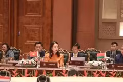 Deputy Foreign Minister Nguyen Minh Hang addresses the expanded Foreign Ministers’ Meeting of BRICS. (Photo: VNA)