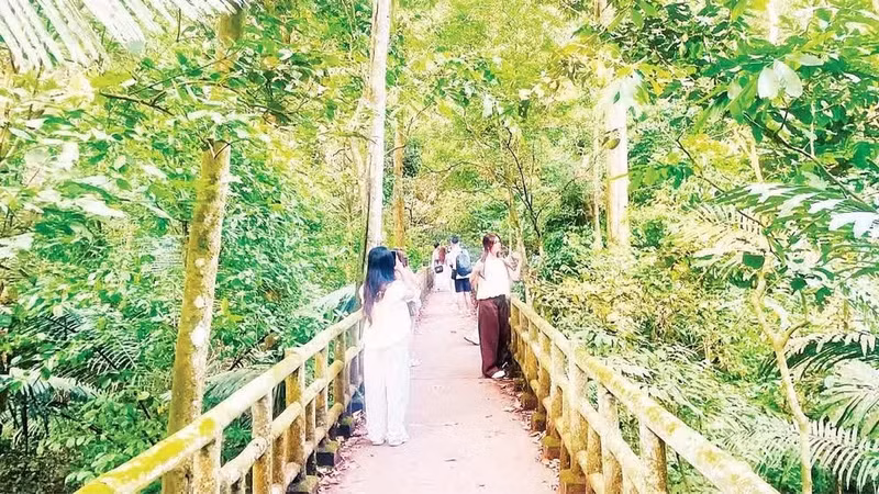 Visitors explore Cuc Phuong National Park.