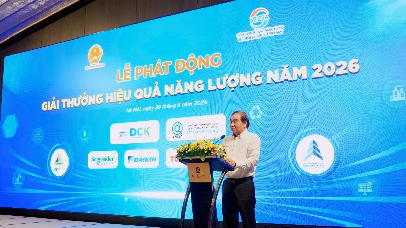 Nguyen Dinh Hiep, Chairman of VECEA
