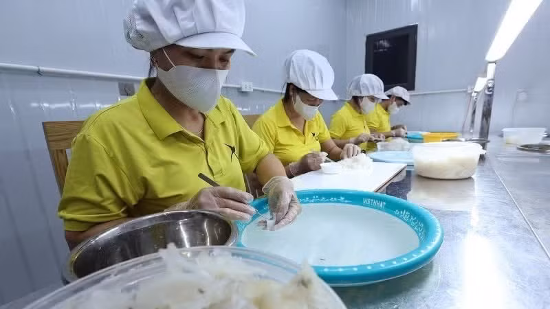 Preliminary processing of bird’s nest products at Xu Thanh Bird’s Nest Production and Trading Co., Ltd. in Van Loc Commune, Thanh Hoa Province. (Photo: VNA)
