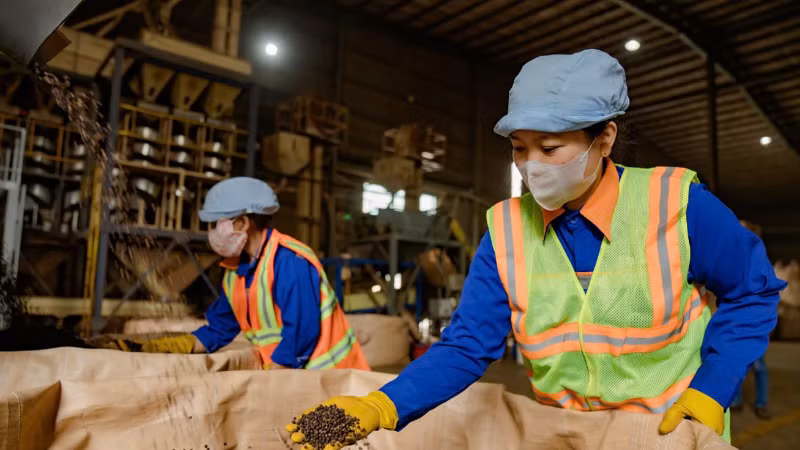 Coffee for export is inspected at Dak Lak September 2 Import-Export One Member Limited Liability Company. (Photo: MINH ANH)