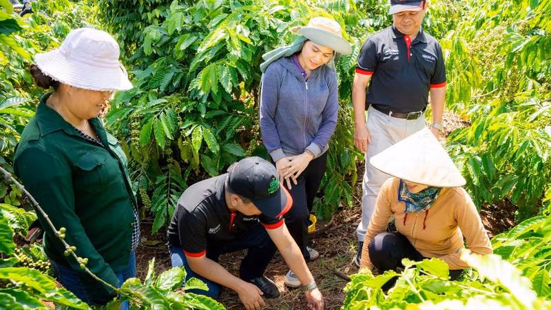 NESCAFÉ Plan technical staff guide farmers in soil restoration practices at a coffee plantation – one of the three core practice groups of the regenerative agriculture model.