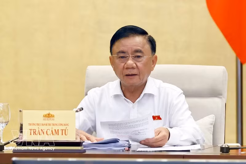 Politburo member, Permanent member of the Secretariat of the Communist Party of Viet Nam Central Committee Tran Cam Tu. (Photo: VNA)