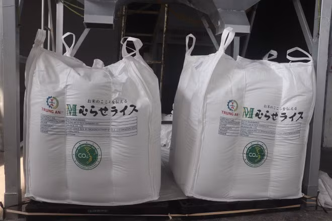 vna-potal-xuat-khau-lo-gao-viet-xanh-phat-thai-thap-dau-tien-sang-nhat-ban-8075169.jpg