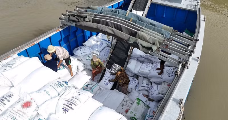 The Philippines is one of Viet Nam's key rice export markets.(Photo: VNA)