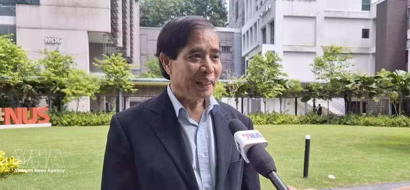 Professor Vu Minh Khuong from the Lee Kuan Yew School of Public Policy talks to the Viet Nam News Agency. (Photo: VNA)