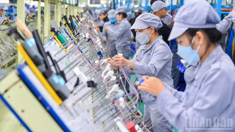 Vietnamese businesses are gradually transforming towards greener operations and deeper digitalisation. (Photo: THANH DAT)