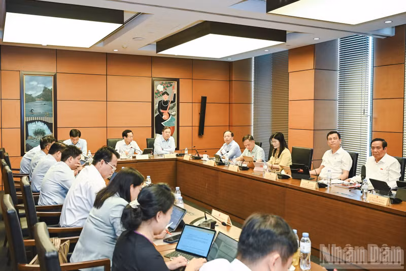 An overview of the discussion session at Group 9, comprising Can Tho City, Lai Chau Province and Ha Tinh Province.