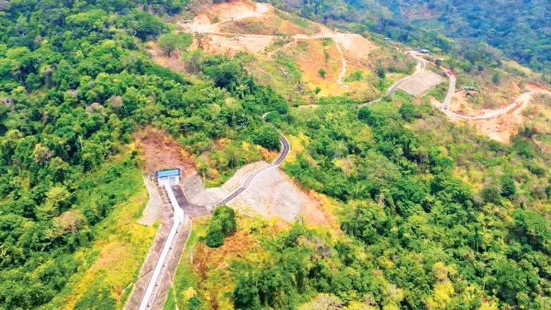 Forest development in Phan Son Commune, Lam Dong Province. (Photo: THANH HAI)