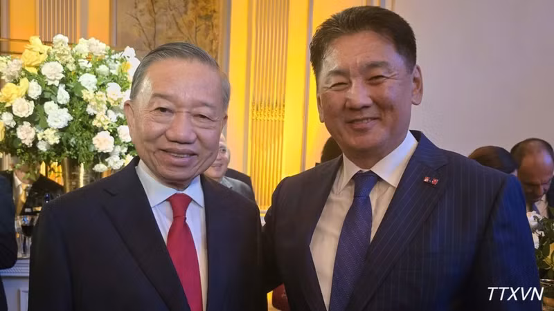 General Secretary of the Communist Party of Viet Nam Central Committee and President To Lam (L) meets with Mongolian President Ukhnaagiin Khürelsükh in New York. (Photo: VNA)