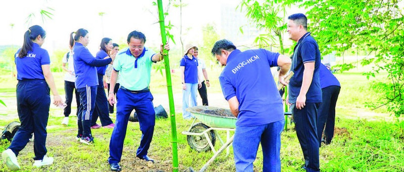 Tang Huu Thuy, Party Secretary and Director of the Centre for Dormitory and Urban Area Management of Viet Nam National University, Ho Chi Minh City, along with staff, lecturers and students, participated in planting bamboo activities.