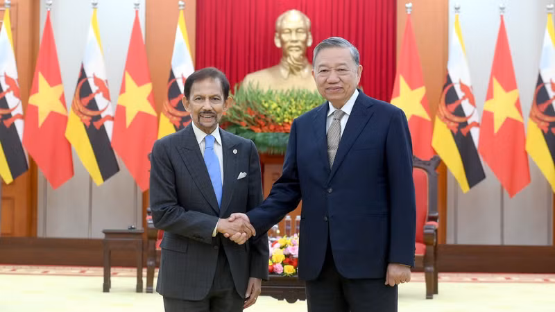 Party General Secretary To Lam (right) meets Sultan of Brunei Haji Hassanal Bolkiah in Ha noi on November 30. (Photo: NDO)