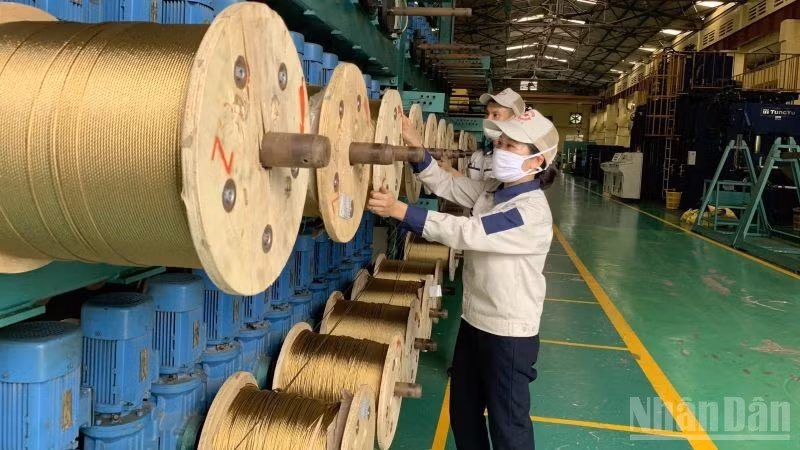 Industrial production shows clear bright spots. (Photo: HNV)