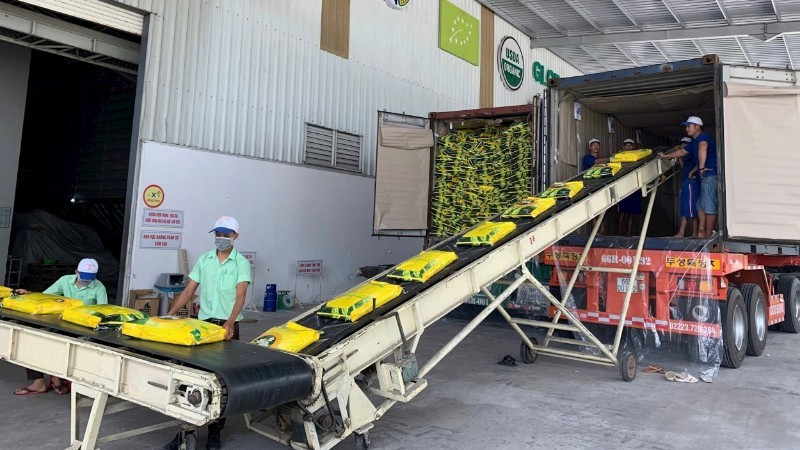 Export rice packaging line of Trung An High-Tech Agriculture Joint Stock Company, Can Tho City. (Photo: MINH ANH)