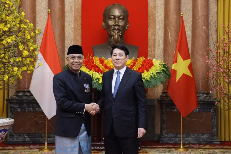 State President Luong Cuong (right) and newly appointed Ambassador of Indonesia Adam Mulawarman Tugio (Photo: VNA)