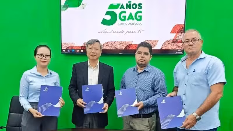Vietnamese Ambassador to Cuba Le Quang Long (second from left) witnesses the handover ceremony for the first batch of rice produced by TBAgri to the Cuban side. (Photo courtesy of the Embassy of Viet Nam in Cuba)