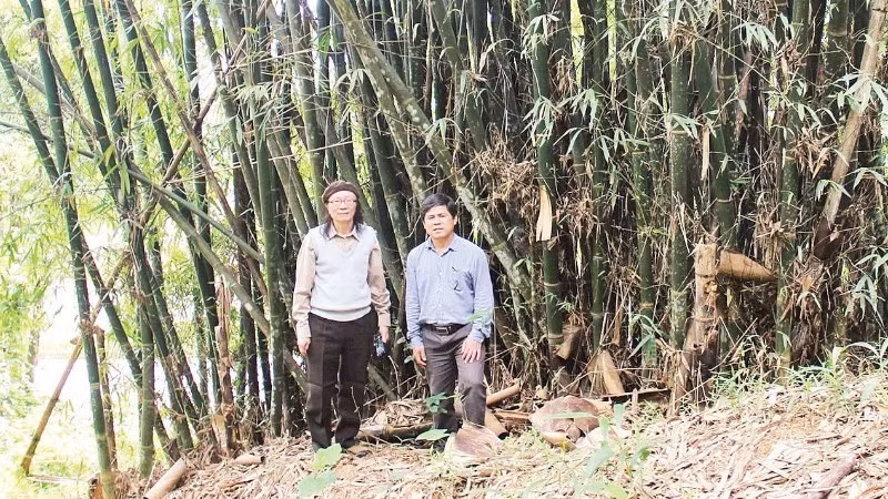 Officials from the Viet Nam Academy of Science and Technology on a research trip to study bamboo species in the Central Highlands. (Photo: DUY MINH)