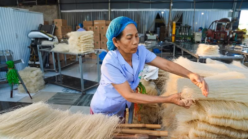 Hung Lo Rice Noodle Cooperative (Phu Tho Province) is busy fulfilling year-end orders.