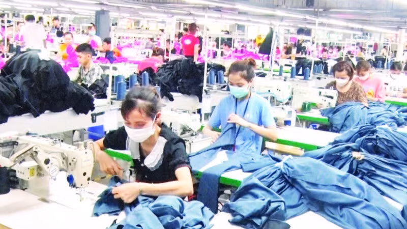 Sewing workers at Tien Son Thanh Hoa Group Joint Stock Company.