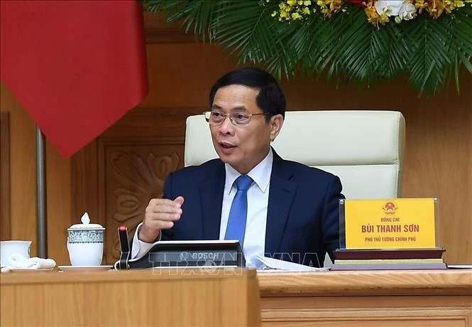 Deputy Prime Minister and Foreign Minister Bui Thanh Son (Photo: VNA)