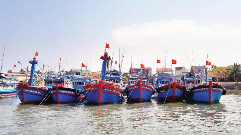 Quang Ngai Province strengthens inspection and control of fishing vessels entering and leaving ports to combat IUU fishing. (Photo: LUU HUONG)