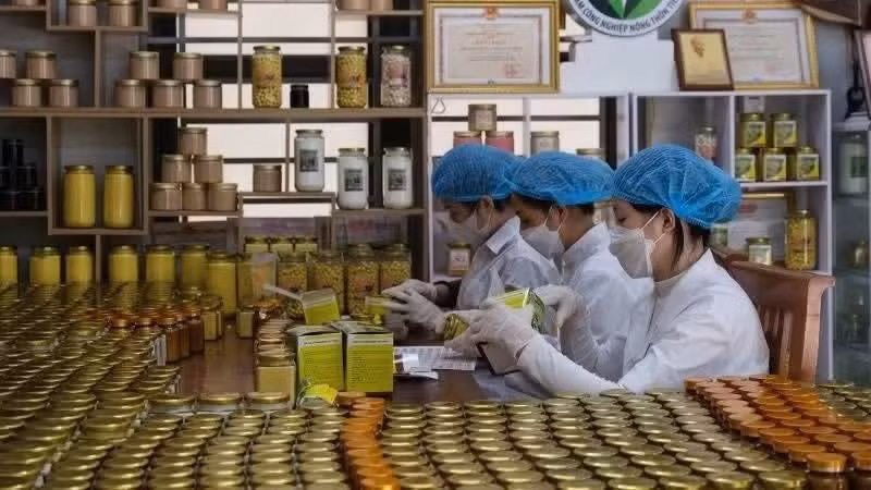 Enhancing the effectiveness of state management and the coordination responsibilities of agencies and organisations in innovating and improving the quality of vocational training for rural labourers. 