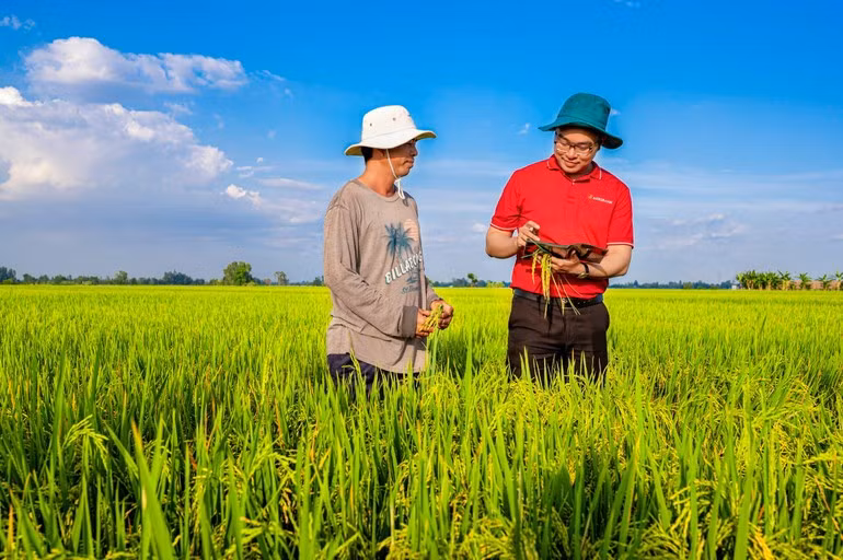 Agribank’s capital contributes to changing the face of Vietnamese agriculture.