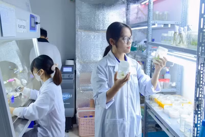 Reforming research funding mechanisms: Using results as the benchmark - Ảnh 2.