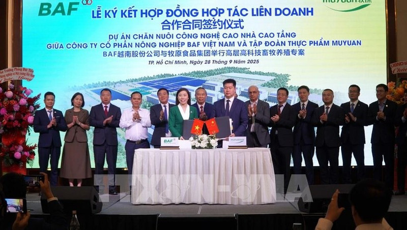 At the signing ceremony between BAF Viet Nam Agriculture Joint Stock Company and China’s Muyuan Foods Co. Ltd in Ho Chi Minh City on September 28. (Photo: VNA)