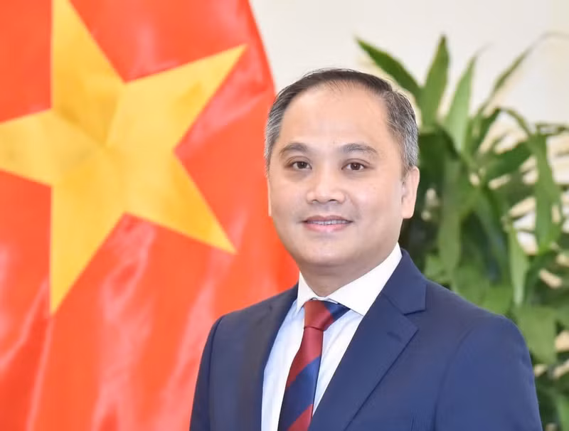 Vietnamese Ambassador to New Zealand Phan Minh Giang (Photo: VNA)