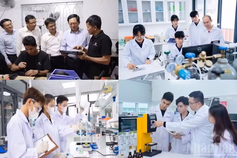 The national programme places special emphasis on building a network of experts, attracting talent, and fostering sustainable linkages between lead enterprises and research institutes and universities. (Design: Mai Huyen)