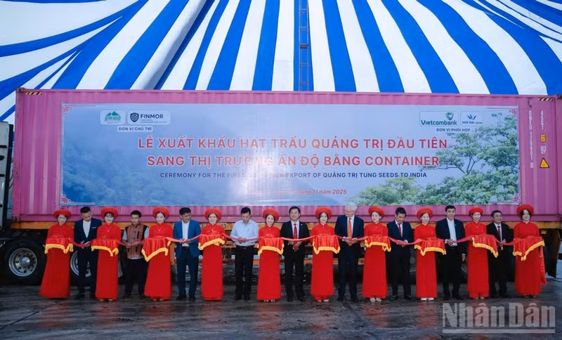 Delegates cut the ribbon to mark the export of Quang Tri’s first tung seed shipment to India.