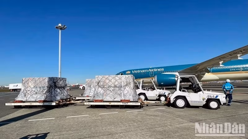 Air freight being transported. (Illustrative image)