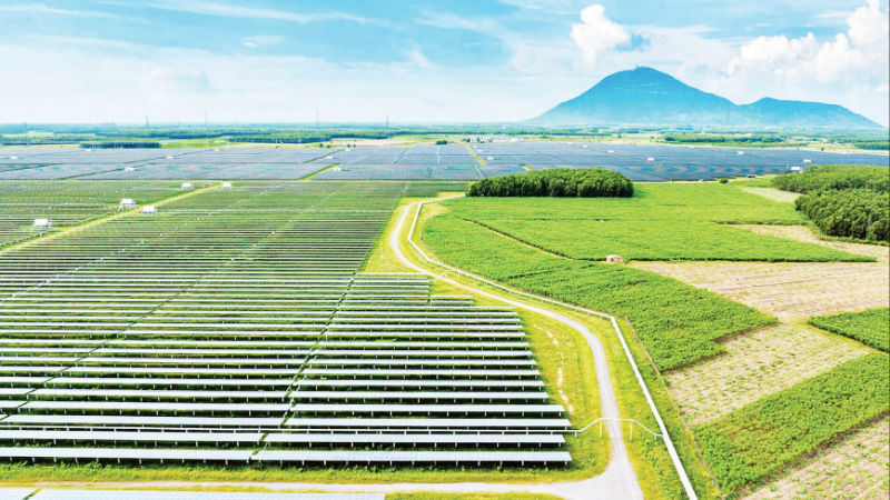 The Dau Tieng solar power plant in Tay Ninh Province. (Photo: MINH PHUONG)